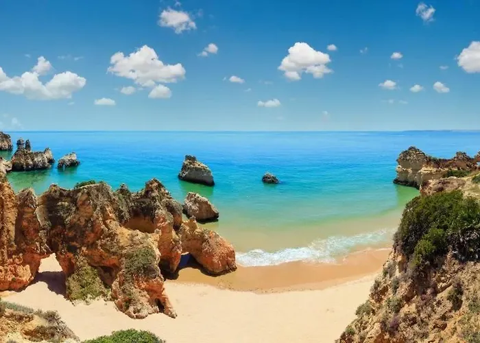 Brejos אלבופיירה